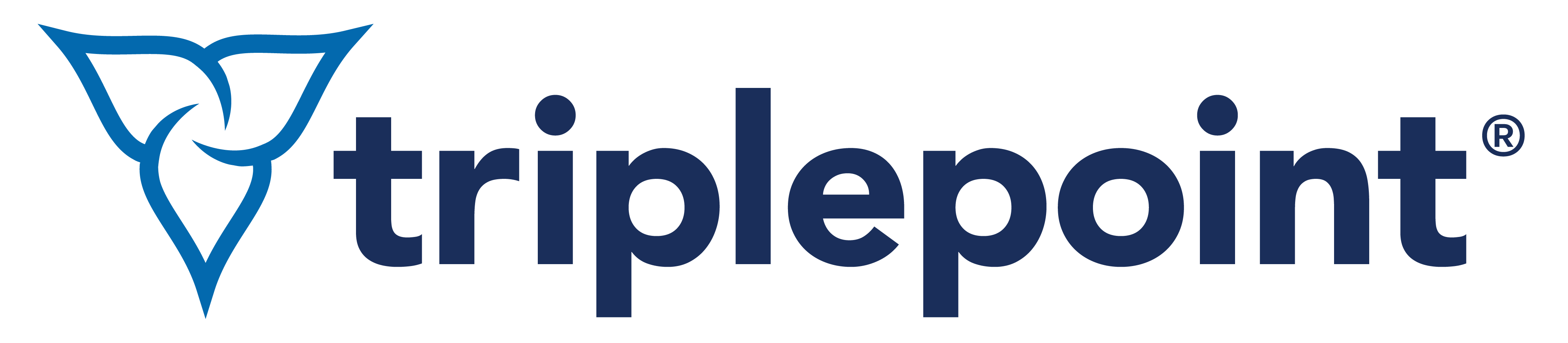 Triplepoint Environmental Logo